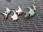 VISSEN DECORATIE. NIEUW IN DOOS.115 cm  breed  : 50 cm hoog., Ophalen of Verzenden, Nieuw