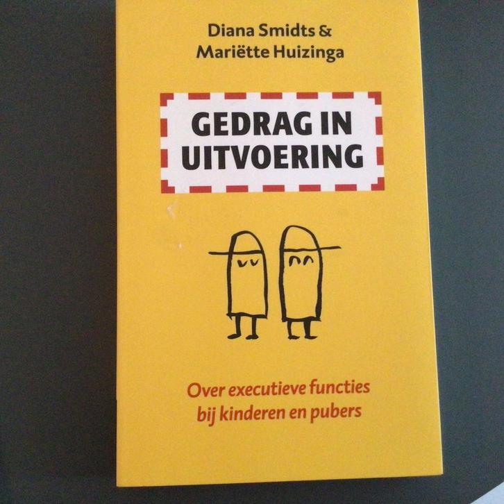 Mariëtte Huizinga & Diana Smidts - Gedrag in uitvoering, Boeken, Psychologie, Zo goed als nieuw, Ontwikkelingspsychologie, Ophalen of Verzenden