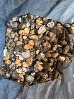 Gratis grind op te halen, Tuin en Terras, Ophalen, Gebruikt, Grijs