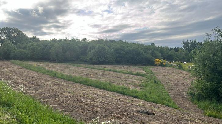 Landbouwgrond te huur in de belgische ardennen 5500m2, Dieren en Toebehoren, Stalling en Weidegang