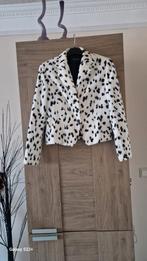 Prachtig bontjasje Les Amies - Maat 40, Maat 38/40 (M), Wit, Nieuw, Ophalen of Verzenden