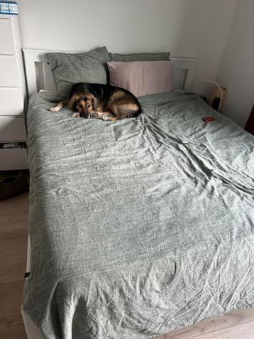 Songesand IKEA bed frame including Lattenbodem! - afbeelding 6