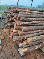 Douglas stammen, 7-12 cm dik, 3 m. lang zie omschrijving, Ophalen, Gebruikt, Minder dan 25 mm, 250 tot 300 cm