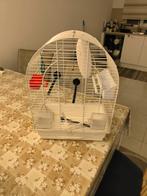 Vogelkooi met veel accessoires, Dieren en Toebehoren, Ophalen, Gebruikt, Metaal, Vogelkooi