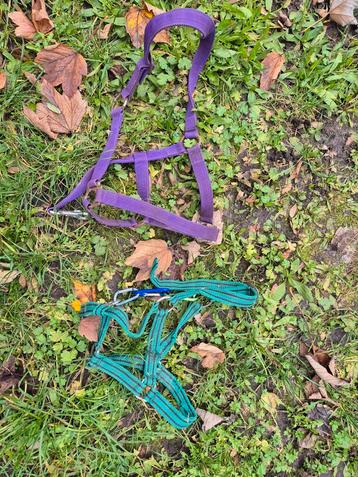 2 halsters met touw en borstels beschikbaar voor biedingen