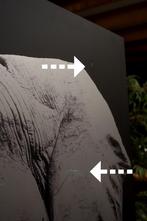 GROOT aluminium schilderij Single Power olifant 120 x 180 cm, Ophalen, Overige typen, 125 cm of meer, Zo goed als nieuw