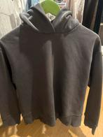 Dames zara trui, Kleding | Dames, Zara, Ophalen of Verzenden, Zo goed als nieuw, Maat 34 (XS) of kleiner