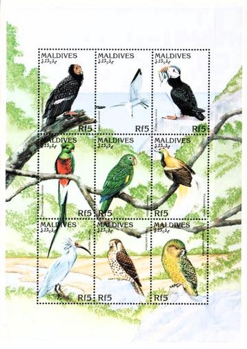 1997 Malediven - Fauna - Vogels 
