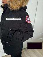 Kinder canada goose jassen amsterdam hotsell