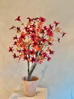 Zijdeboom met echte stam - Herfstkleuren, Ophalen, Nieuw, Binnen