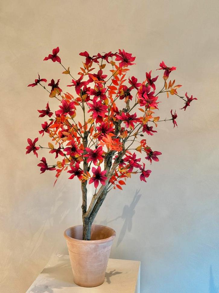 Zijdeboom met echte stam - Herfstkleuren, Huis en Inrichting, Woonaccessoires | Kunstplanten en Kunstbloemen, Nieuw, Binnen, Ophalen