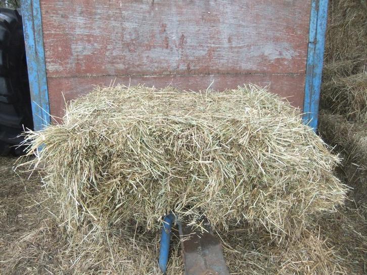 kleine pakjes hooi pakken balen baal pak pakje te koop, Dieren en Toebehoren, Dierenvoeding, Ophalen