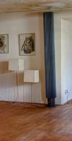 Jaga Iguana circo design radiator pilaar gietijzer, Doe-het-zelf en Verbouw, Verwarming en Radiatoren, Ophalen of Verzenden, 800 watt of meer