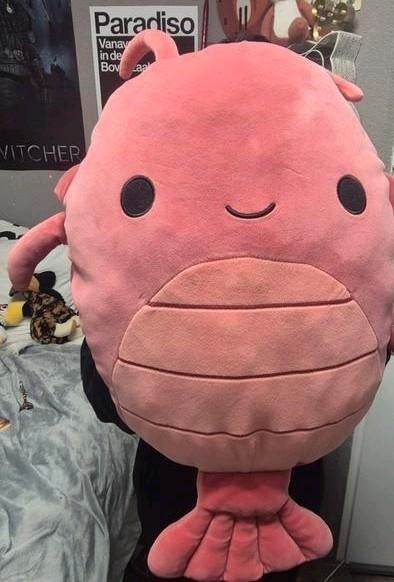 Lobster squishmellow, Kinderen en Baby's, Speelgoed | Knuffels en Pluche, Zo goed als nieuw, Overige typen, Ophalen of Verzenden