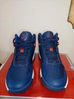 basketbalschoenen voor kinderen, Sport en Fitness, Basketbal, Ophalen of Verzenden, Zo goed als nieuw, Ring, Bord of Paal