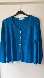 NormaCrazy. Blauw vest. Maat M/L, Maat 38/40 (M), Blauw, Norma Crazy, Ophalen of Verzenden