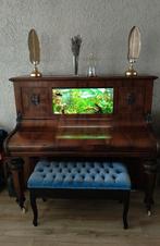 Eyecatcher!, Dieren en Toebehoren, Vissen | Aquariumvissen, Vis