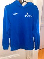 Segbroek College Trui - Jako - Maat 152, Ophalen of Verzenden, Zo goed als nieuw, Jongen of Meisje