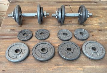 verstelbare dumbbells met losse gewichtsschijven. beschikbaar voor biedingen