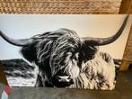 Canvas schotse hooglander €10,- afhaal, Huis en Inrichting, Woonaccessoires | Wanddecoraties, Ophalen, Zo goed als nieuw