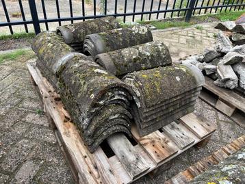 Nokvorsten  beschikbaar voor biedingen