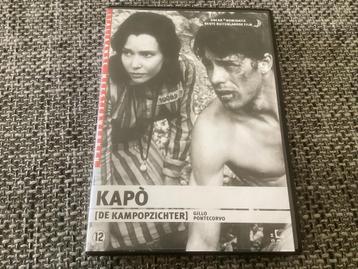 Kapo de Kampopzichter beschikbaar voor biedingen