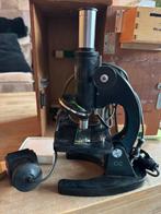 Telescoop vijver, Dieren en Toebehoren, Overige soorten