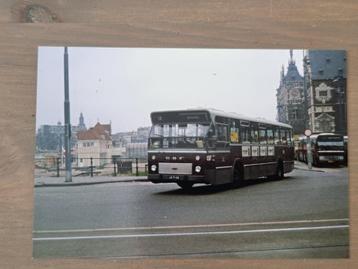 Foto BUS GVB Amsterdam 137 Centraal Station beschikbaar voor biedingen