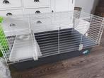 Grote kooi voor konijn of cavia met alle toebehoren!, Dieren en Toebehoren, Knaagdieren en Konijnen | Hokken en Kooien, Kooi, Minder dan 60 cm