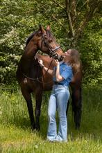Leuke 14 jarige merrie, Dieren en Toebehoren, Paarden, Merrie, 160 tot 165 cm, Recreatiepaard, 11 jaar of ouder