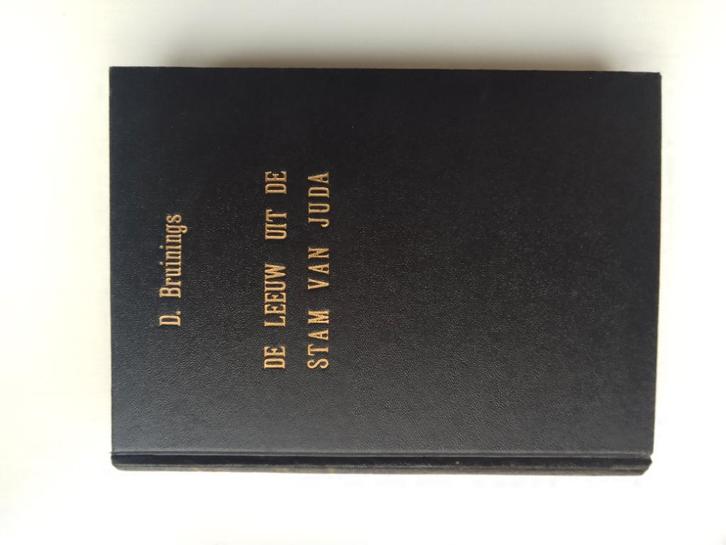 De Leeuw uit de stam van Juda - D. Bruinings, Boeken, Godsdienst en Theologie, Gelezen, Christendom | Protestants, Ophalen of Verzenden