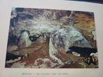 Ansichtkaart Engeland - The witch's kitchen Cave, Ophalen of Verzenden, Zo goed als nieuw