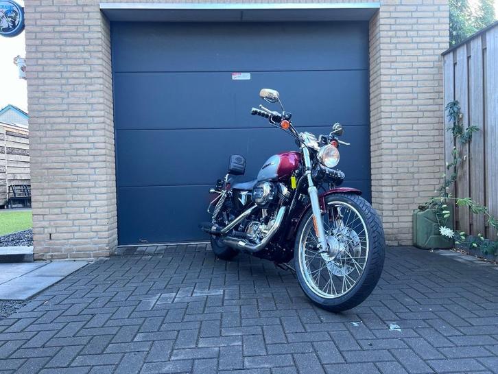 Harley-Davidson 1200C Sportster uit 2004 special Paint, Motoren, Motoren | Harley-Davidson, Bedrijf, Chopper, meer dan 35 kW, 2 cilinders