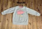 Lichtgrijze longsleeve Little Queen Maat 80 Hema, Gebruikt, Meisje, Ophalen of Verzenden, Hema