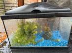 Aquarium voor kind, Dieren en Toebehoren, Vissen | Aquaria en Toebehoren, Ophalen, Leeg aquarium