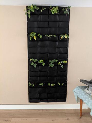 Set van 4 planten pockets | verticaal tuinieren  beschikbaar voor biedingen