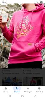 Efteling Hoodie Roze XXXL Gezocht!, Verzamelen, Efteling, Ophalen of Verzenden, Nieuw