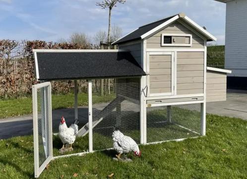 Kippenhok Nodig? Groot Aanbod, Lage Prijs! Nieuw - Hout, Dieren en Toebehoren, Pluimvee | Toebehoren, Nieuw, Kippenhok of Kippenren