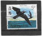 Ascension 1976 Birds – Brown Noddy 5p, Postzegels en Munten, Postzegels | Afrika, Verzenden, Overige landen, Gestempeld