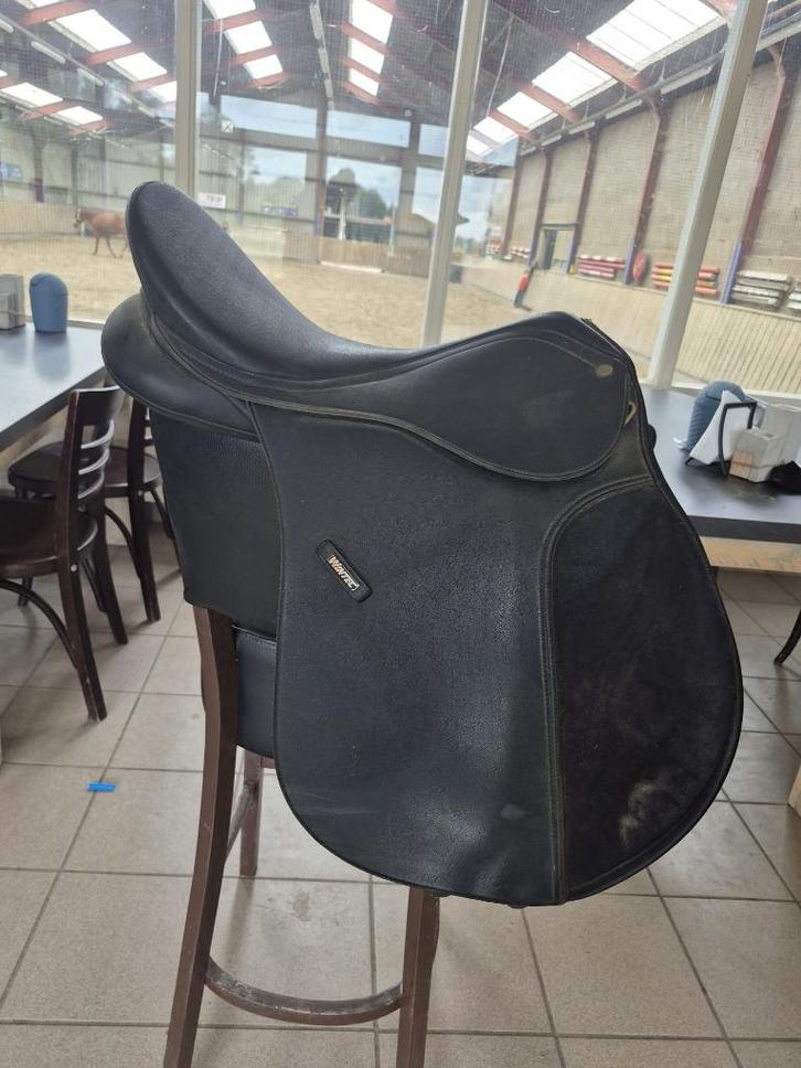 Pagony en Wintec zadel te koop, Dieren en Toebehoren, Paarden en Pony's | Zadels, Gebruikt, Recreatie, Ophalen of Verzenden