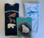 Bundel - designer collection H&M - maat 134/140, Ophalen of Verzenden, Gebruikt