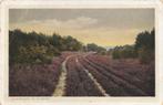 Julianalaan te Schoorl, heide, Verzamelen, Ansichtkaarten | Nederland, Ophalen of Verzenden, 1920 tot 1940, Gelopen, Noord-Holland