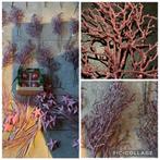 Glitter kerst nieuw kleur roze, Ophalen of Verzenden, Nieuw