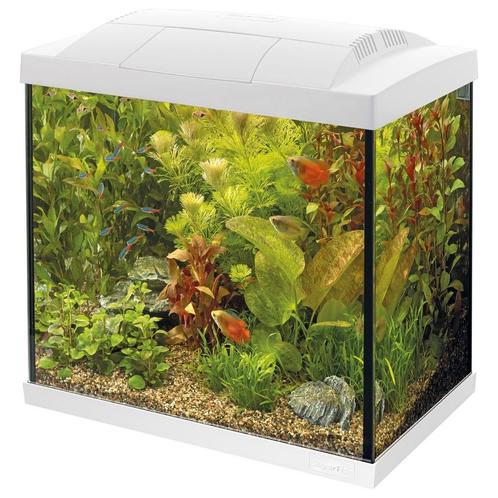 Kweek aquarium met co2 en wifi meet instrumenten, Dieren en Toebehoren, Vissen | Aquaria en Toebehoren, Zo goed als nieuw, Leeg aquarium