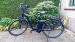 Elektrische fiets ( Flyer), Zo goed als nieuw, 47 tot 51 cm, 50 km per accu of meer, Ophalen