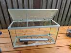 Aquarium aquatlantis 80l x 30b x 40h, Dieren en Toebehoren, Ophalen, Gebruikt, Leeg aquarium