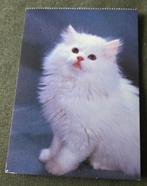 Witte pluizige kitten, Verzenden, 1980 tot heden, Ongelopen, Hond of Kat