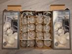 Decoratieve LED Verlichting - 8 stuks, Huis en Inrichting, Nieuw, Ophalen of Verzenden, Glas, Modern