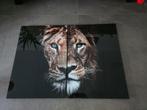 Plexiglas schilderij met leeuwenkoppen, Huis en Inrichting, Woonaccessoires | Schilderijen, Tekeningen en Foto's, Ophalen of Verzenden