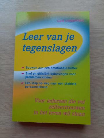 Leer van je tegenslagen - Gael Lindenfield beschikbaar voor biedingen